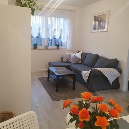 קודובה-זדרוי Apartament Wrzosowa מראה חיצוני תמונה